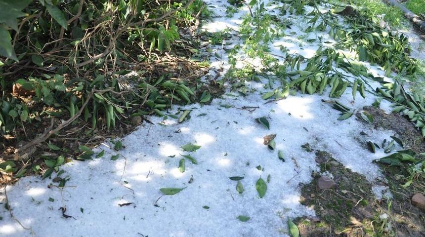 Kozan&rsquo;da Etkili Olan Dolu Ekili Alanlara Zarara Yola&ccedil;tı