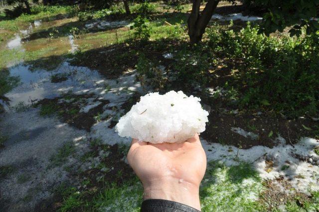 Kozan’da Etkili Olan Dolu Ekili Alanlara Zarara Yolaçtı