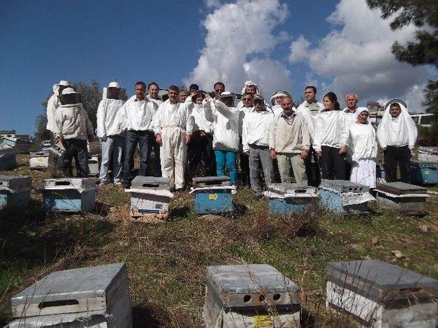 Alanya'da İşsizliğe Ballı Destek