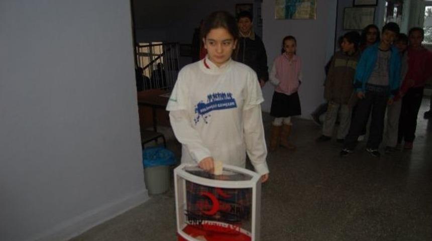 Kendileri Minik, Y&uuml;rekleri Kocaman