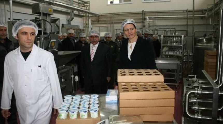 Vali Yılmaz, Kız Meslek Lisesi S&uuml;t &Uuml;nitesini İnceledi