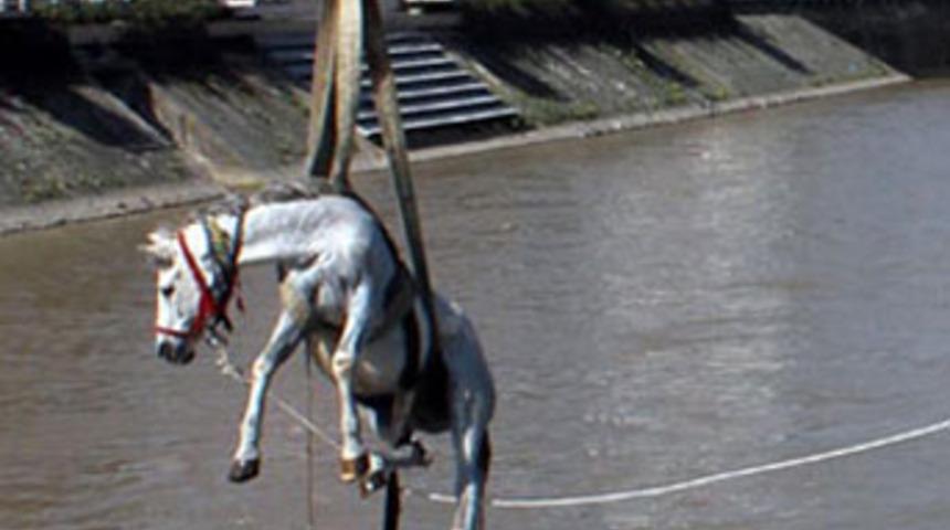 At otlarken u&ccedil;tu