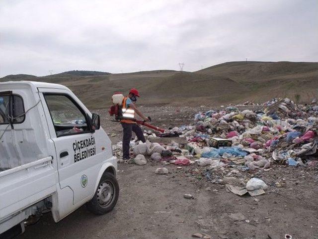 Çiçekdağı Belediyesi Haşerelere Karşı İlaçlama Çalışmalarına Başladı