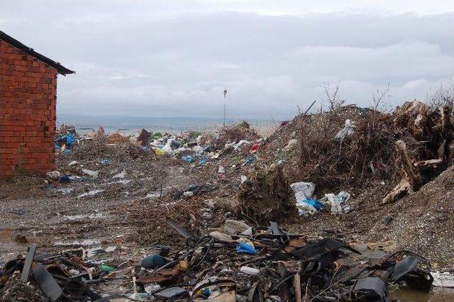 Çürümüye Terk Edilen Fakülte Binası Hayat Buluyor