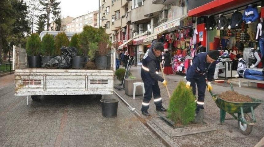 Odunpazarı'nda Yeşil Alanlara Bakım