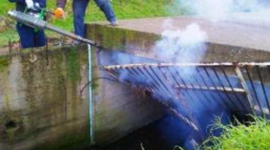 Ayvalık'ta Sivrisinek M&uuml;cadelesi