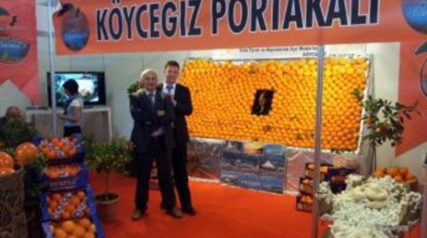 K&ouml;yceğiz Portakalı Milas Fuarında