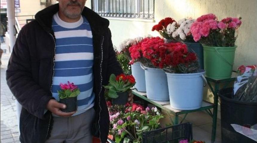 G&uuml;l Karaborsaya D&uuml;şt&uuml;