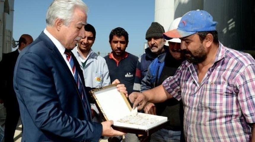 B&uuml;y&uuml;kşehir Asfalt Şantiyesi &Uuml;retime Başlıyor