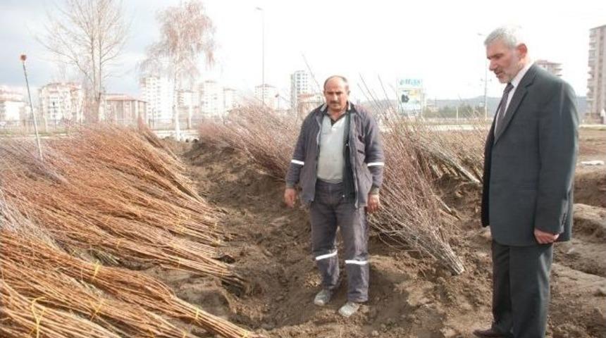 Melikgazi&rsquo;den 20.000 Adet Mevsimlik &Ccedil;i&ccedil;ek