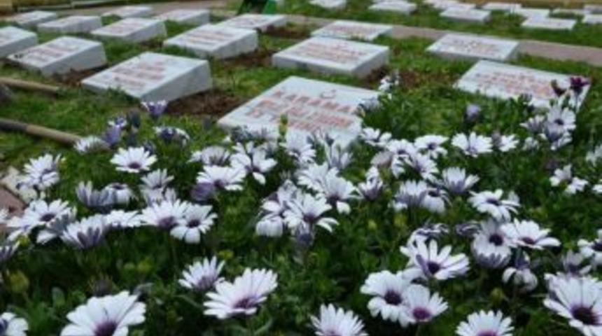 &Ccedil;anakkale Şehitlikleri Zafer Kutlamalarına Hazırlanıyor