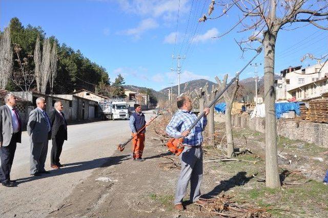 Tosya Bahara Hazırlanıyor