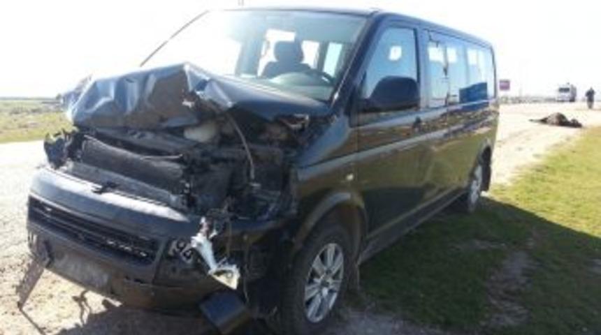 Otomobilin &Ccedil;arptığı Inekler &Ouml;ld&uuml;