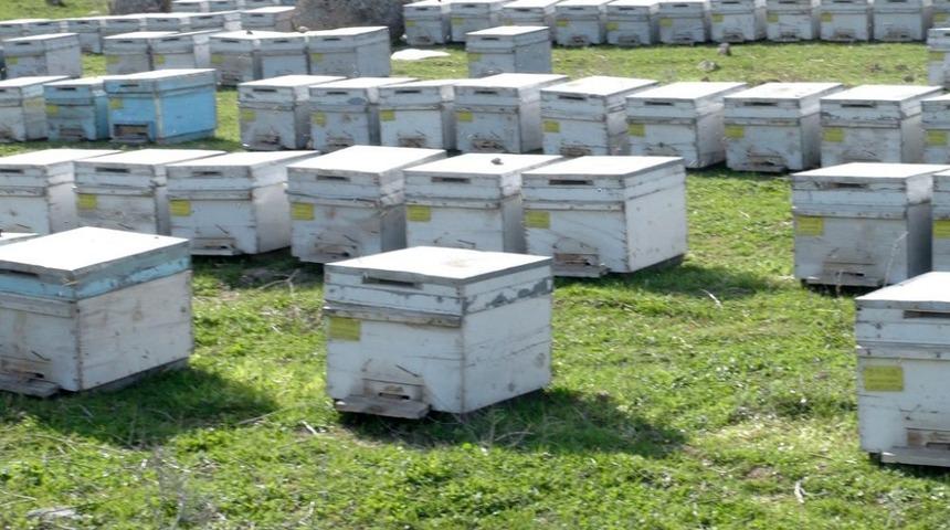 Arıcılar, Cizre&rsquo;yi Tercih Ediyor