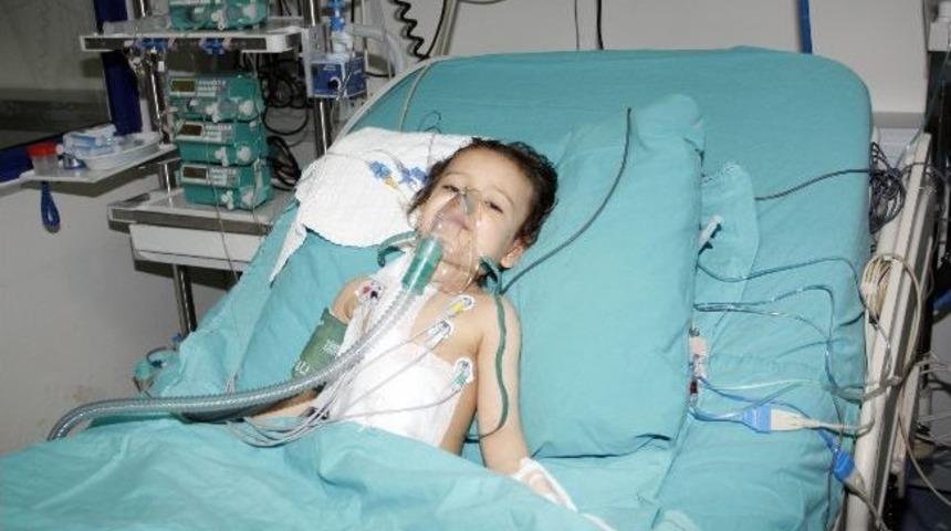 Adanalı Minik İzmir'de Hayat Buldu