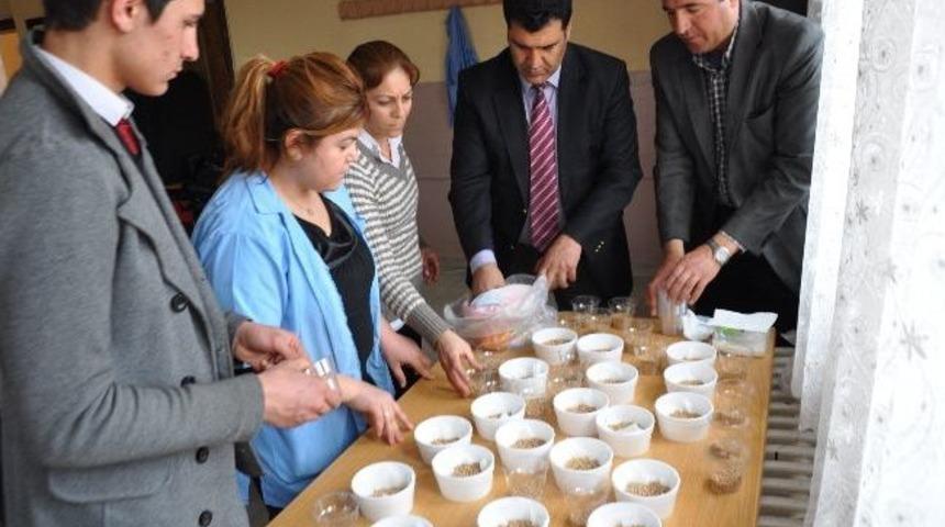 Iğdır&rsquo;da Nevruz &Ouml;ncesi Hazırlıklar Başladı