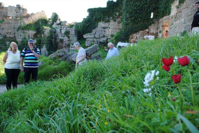 Side'ye Erken Gelen Bahar, Doğa Ve Eko Turlarını Artırdı