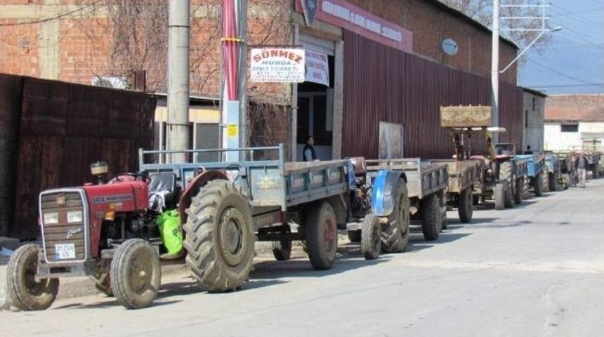 &Ouml;demiş'te Saman Kuyruğu