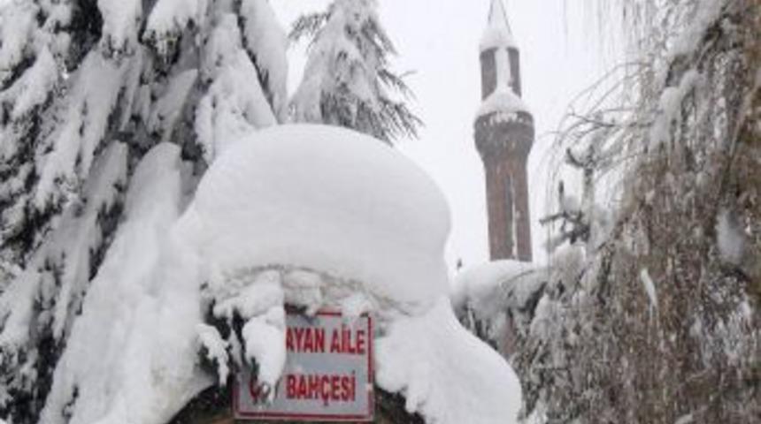 Bitlis Kara G&ouml;m&uuml;ld&uuml;