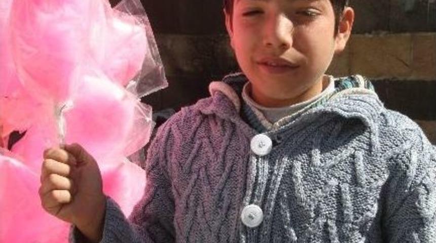 Pamuk Şekere İlgi S&uuml;r&uuml;yor