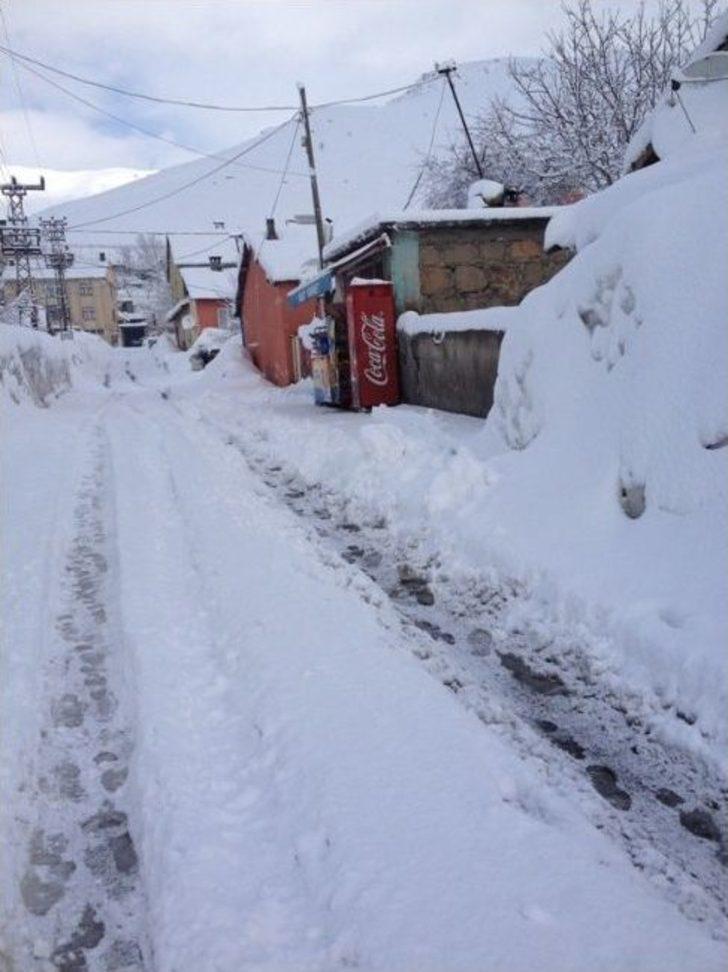 Mart Karı Bitlis’te Etkisini Gösterdi G1