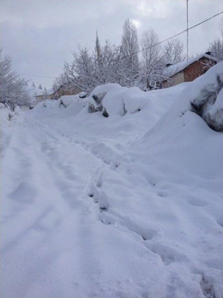 Mart Karı Bitlis’te Etkisini Gösterdi G2