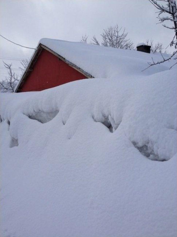 Mart Karı Bitlis’te Etkisini Gösterdi G3