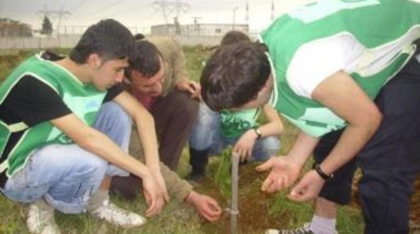 Toprağa Yeşil Bir Fidan Kalplere Sıcak Bir Selam