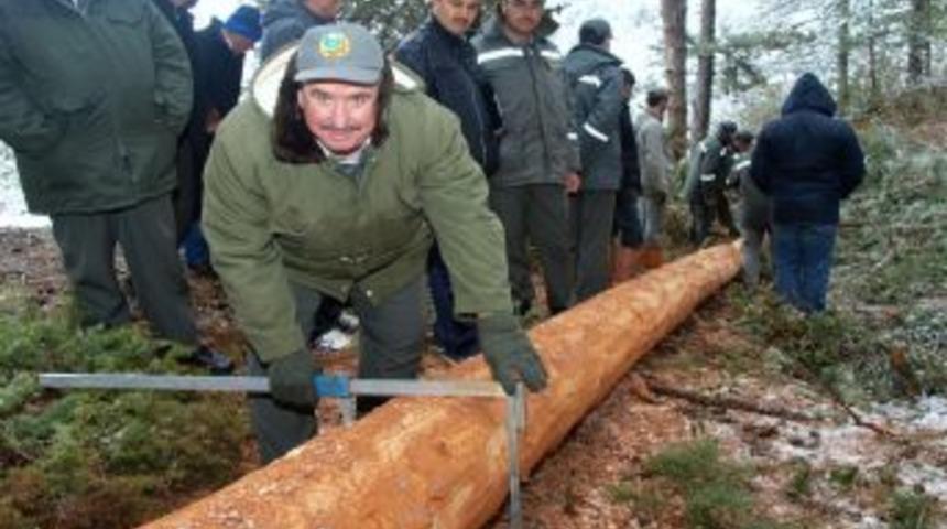Orman Iş&ccedil;ilerine En Iyi Ağa&ccedil; Kesme Metodu Tatbikatla Anlatıldı