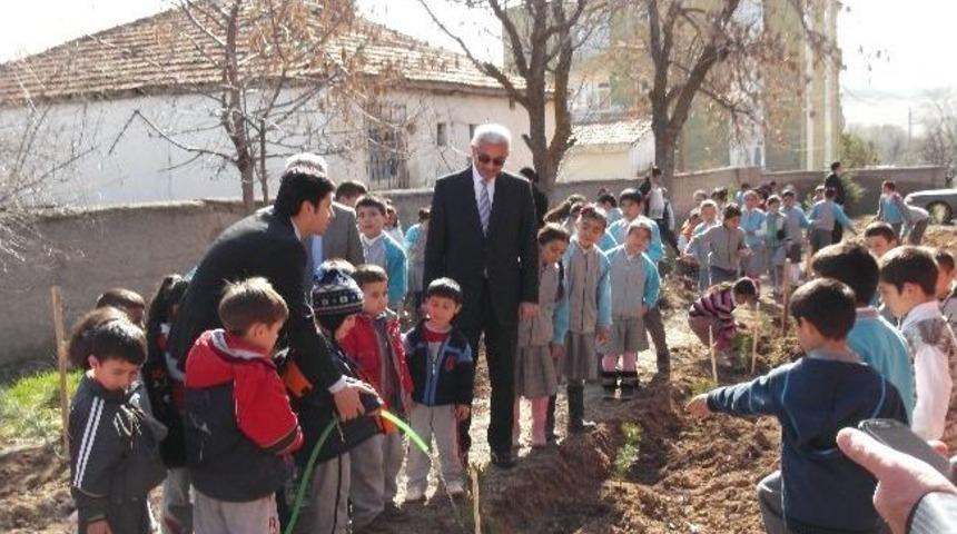 Kaymakam &Ouml;ğrencilerle Fidanı Dikti
