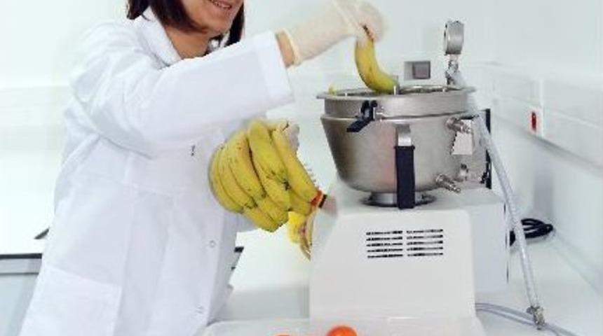 Rekt&ouml;r Harmandar: Gıda Analiz Laboratuvarı Muğla İ&ccedil;in Kazan&ccedil;