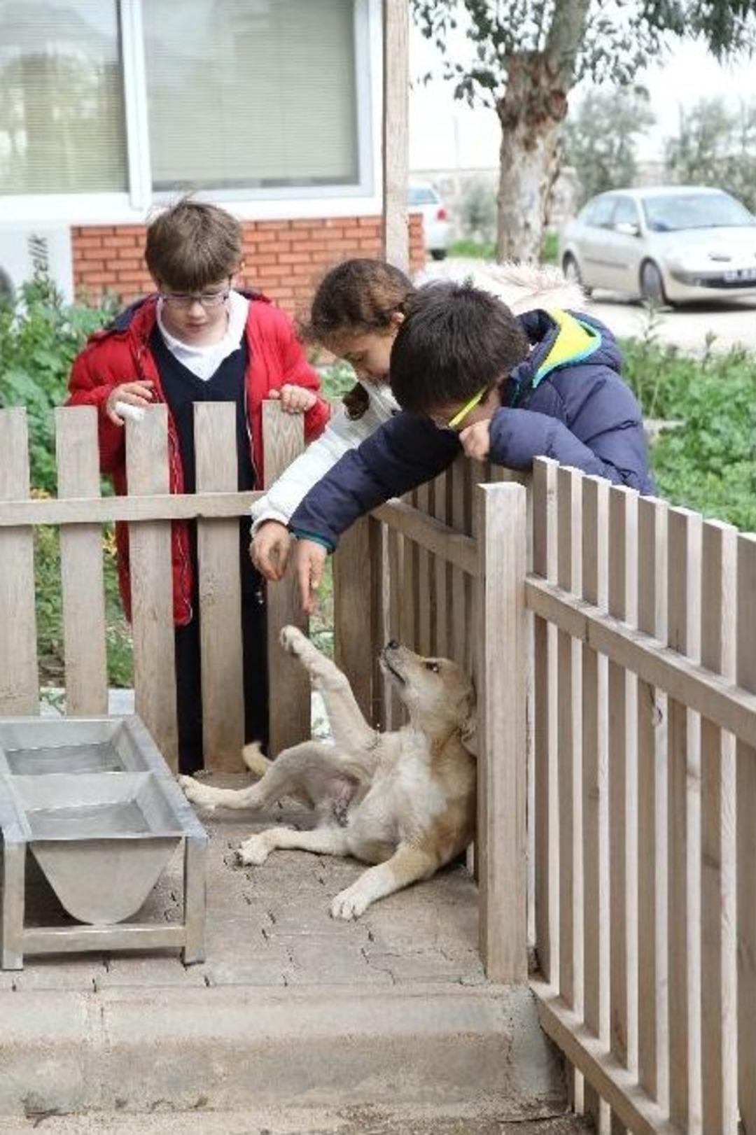 Miniklerden Can Dostlarına Ziyaret