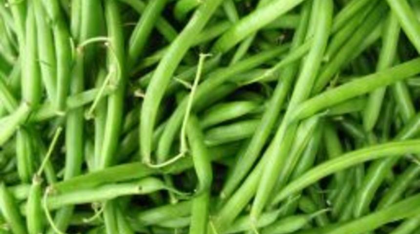 Yeşil Fasulye Şubat'ın Fiyat Şampiyonu Oldu