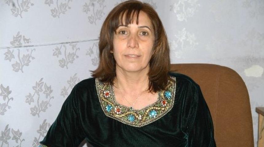 Cavidan Yaman G&uuml;ven Tazeledi