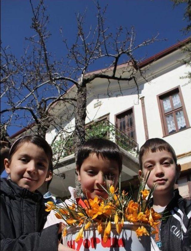 (özel Haber) Unesco Dünya Kültür Mirası Listesindeki “çiğdem Gelenekleri” Çorum’da Yaşatılıyor