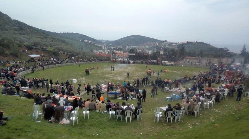 Deve G&uuml;reşine İlgi Yoğun Olmadı