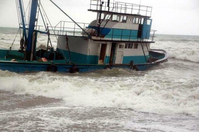 Sinop'ta 177 Bin 630 Paket Kaçak Sigara Ele Geçti