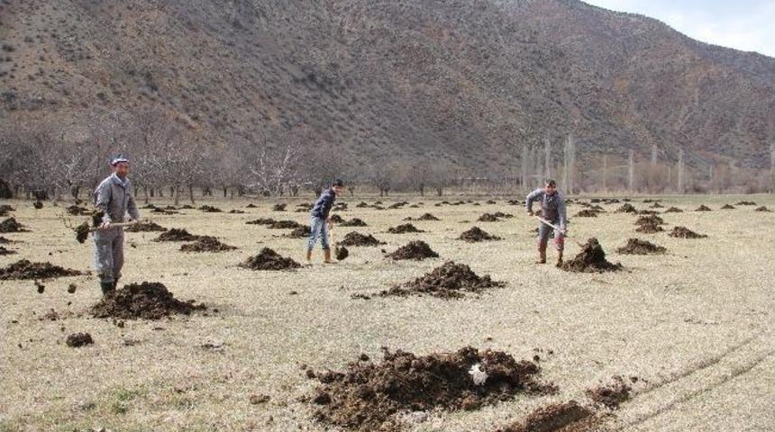 &Ccedil;ift&ccedil;iler Bahar G&uuml;brelerini Bah&ccedil;elere Attılar