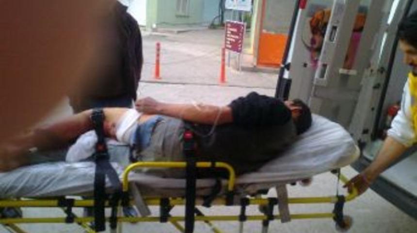 Domuz, &Ccedil;obanı Yaraladı