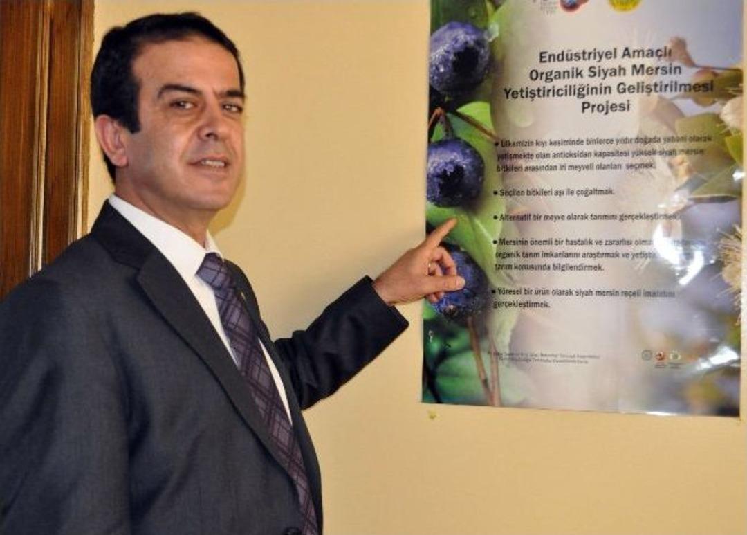 (&ouml;zel Haber) K&ouml;yl&uuml;ye Kazan&ccedil; Ekonomiye Katkı