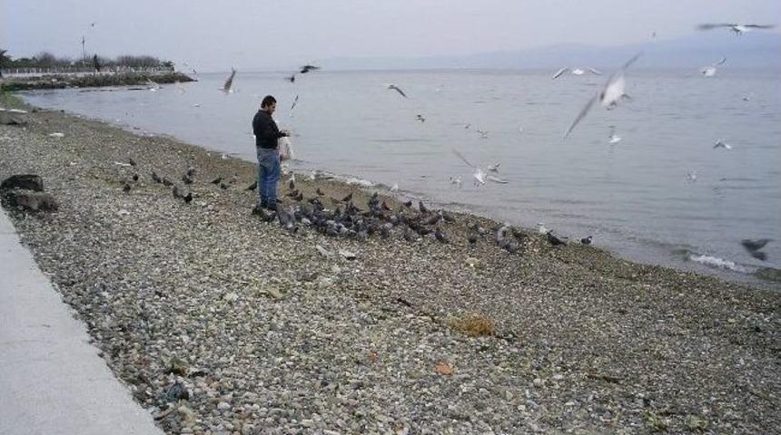 Bayat Ekmekler İsraf Olmadı