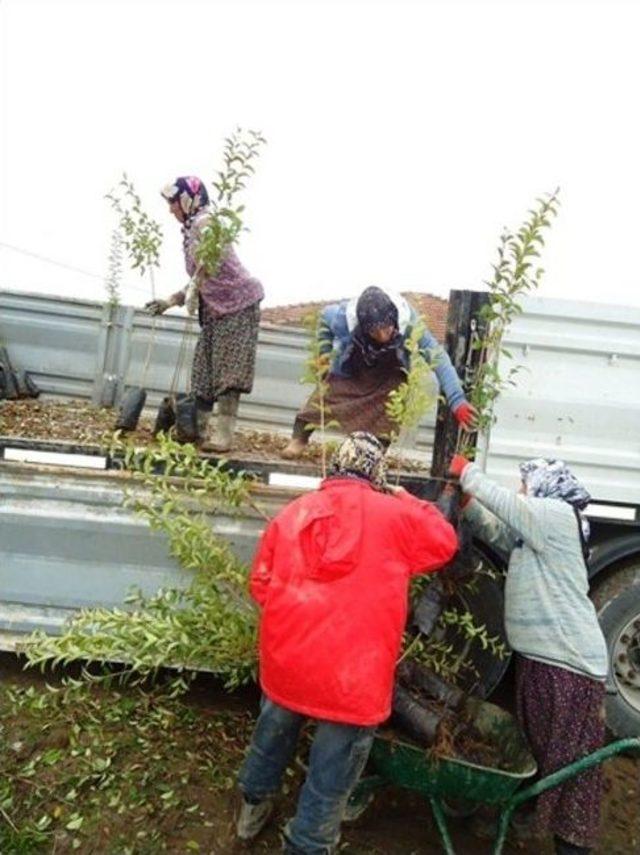 Okullar İçin Fidan Seferberliği Başlatıldı