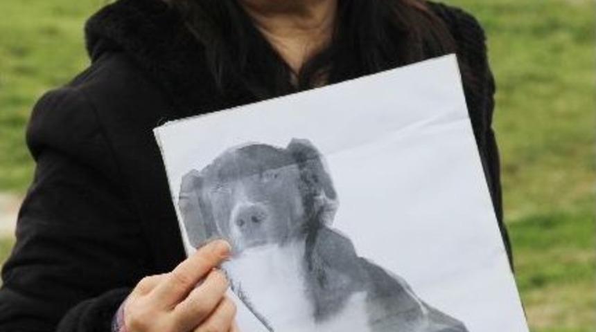 Zehirli Etten &Ouml;len K&ouml;peği İ&ccedil;in Eylem Yaptı