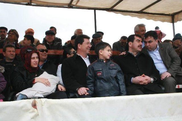 K&ouml;şk Arenasında 70 &Ccedil;ift Deve Cami Yapımı İ&ccedil;in G&uuml;reş Tuttu 1