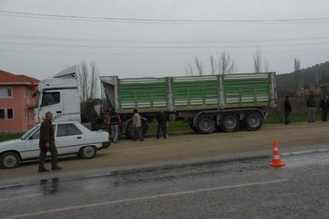 Yola &Ccedil;ıkan Sokak K&ouml;peği Tırın Devrilmasine Neden Oldu