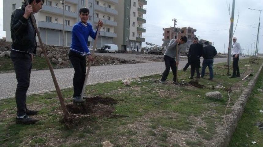 İdil&rsquo;de Ağa&ccedil; Dikme Kampanyası