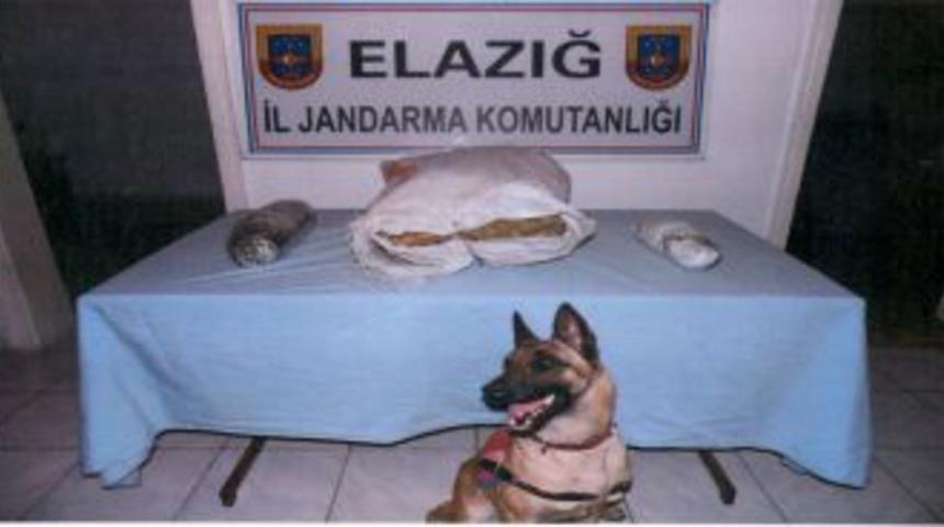 Zehir tacirlerine darbe