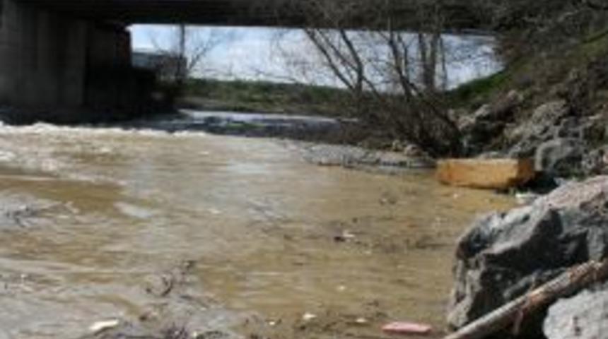 Sakarya Nehri'nde D&uuml;şen Su Debisi Balıkların Yaşamını Tehdit Ediyor