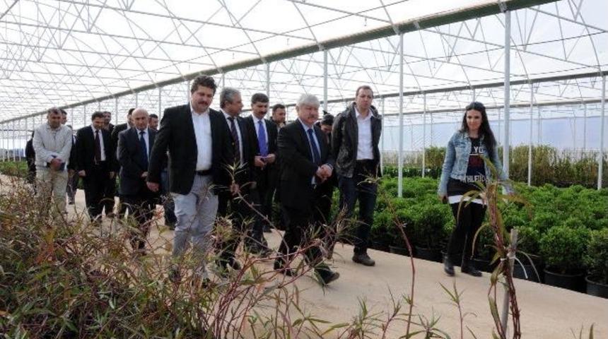 Başkan Akaydın Dev Tesisi Gezdi