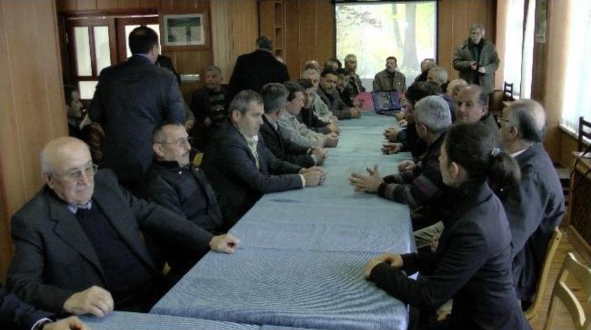 Hedef Daha &Ccedil;ok Kestane Ormanı Ve Kestane Balı